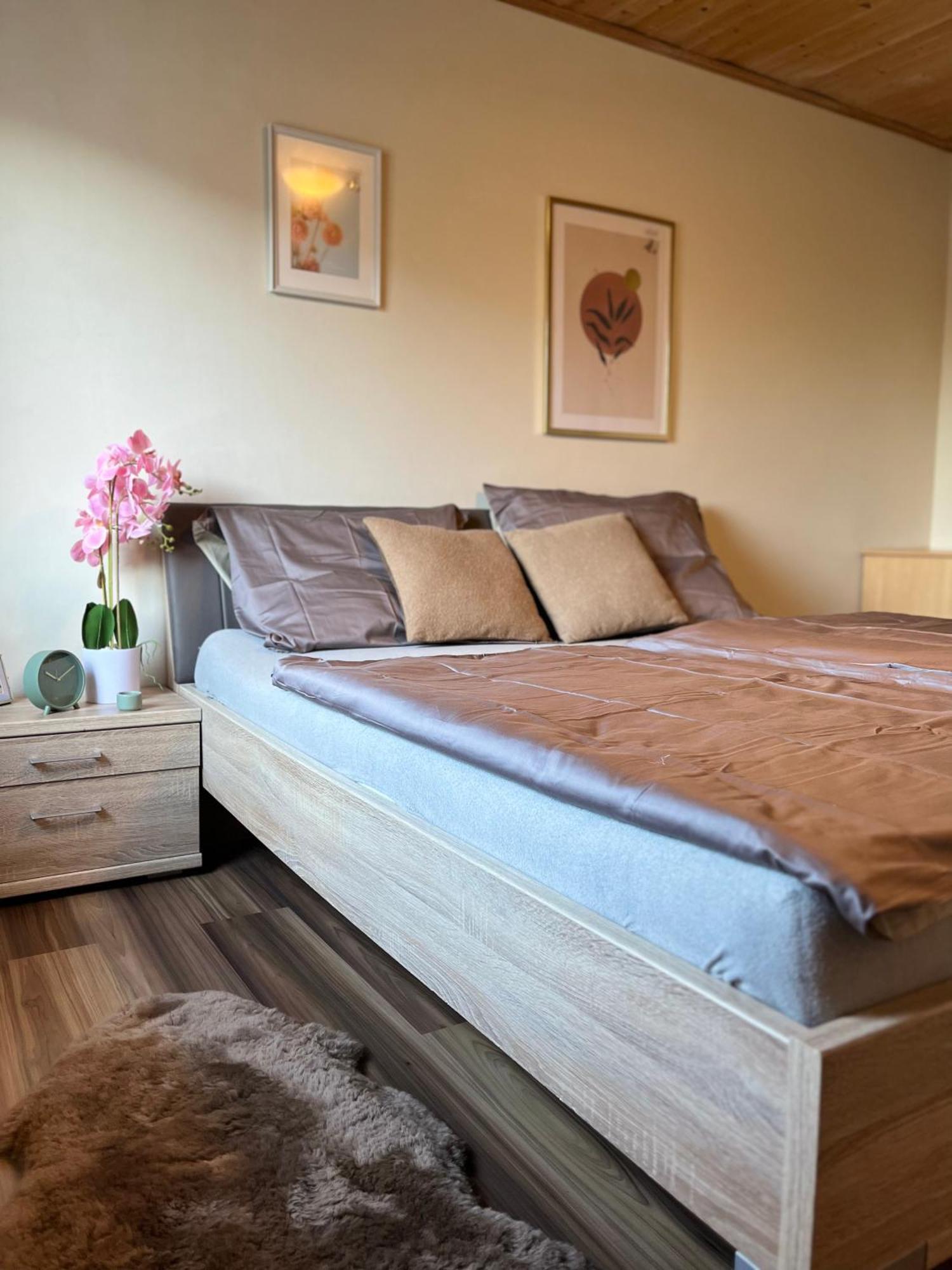 Gemuetliche Wohnung/ Cozy Apartment Niklasdorf 외부 사진