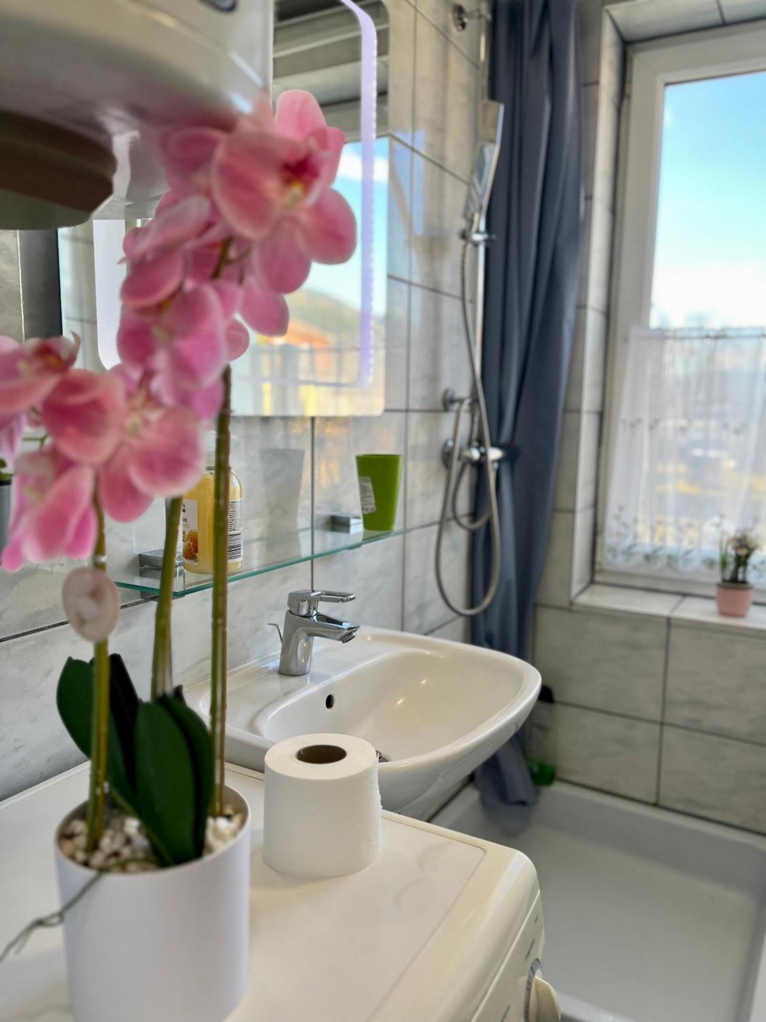 Gemuetliche Wohnung/ Cozy Apartment Niklasdorf 외부 사진